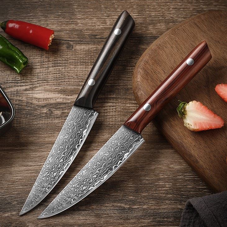DS-2971B 67 Layer Damascus steel Forged Blade Paring Knife Rosewood Handle Fruit Knife Wholesale (4)