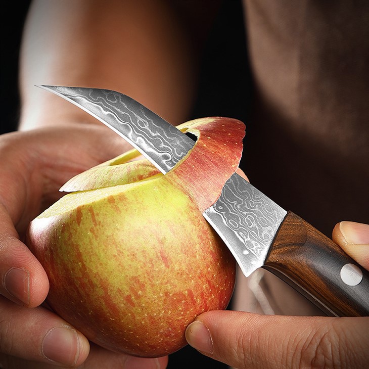 DS-2974 3.5 inch Paring Knife Damascus Steel Peel Chef Knife 67 Layer Forged Fruit Vegetable Knife Wholesale-2